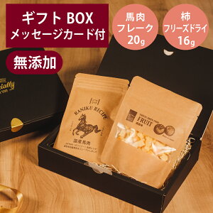 Mtgi[ Y n t[N 20g t[YhC ` 16g Zbg v[g n GIFTNER  L  Y IׂJ[ht MtgBOXt