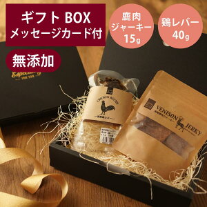 Mtgi[ Y  W[L[ 15g { o[ 40g Zbg GIFTNER  L  `L Ƃ Y IׂJ[ht v[g MtgBOXt