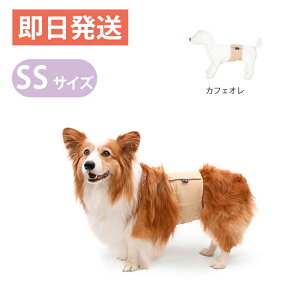 犬 しつけグッズの人気商品 通販 価格比較 価格 Com