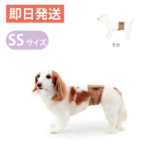 マジックテープ 犬用品の人気商品 通販 価格比較 価格 Com