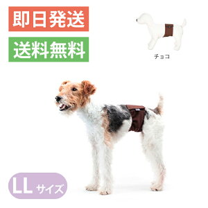 犬用しつけグッズ マジックテープの人気商品 通販 価格比較 価格 Com 犬用しつけグッズ マジックテープの人気商品 通販 価格比較 価格 Com