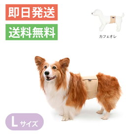 楽天市場 犬 マーキング 防止の通販