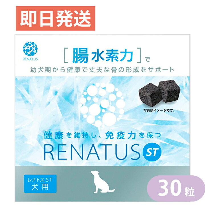 楽天市場】レナトスST 30粒 水素サプリメント 愛犬用 レナトスジャパン 