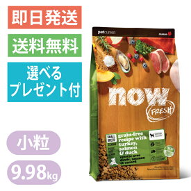 ナウフレッシュ グレインフリー スモールブリード シニア＆ウェイトマネジメント 9.98kg 小粒 ドッグフード NOW FRESH 体重管理 選べるプレゼント付き