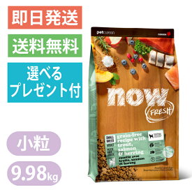 ナウフレッシュ グレインフリー スモールブリード フィッシュ アダルト 9.98kg 小粒 ドッグフード NOW FRESH 選べるプレゼント付き