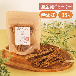 Bruno}}̂₳ Y TNbƍW[L[ 35g Y W[L[    VP J