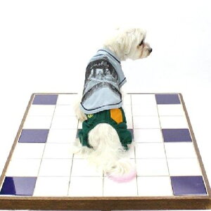 yCinofilozhbOEFA Ō̔ӎ`vgXgb`TVc sN SSTCY `mtB IV  ` [NV[eA