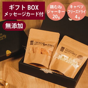 Mtgi[ Y { ނ W[L[ 20g t[YhC Lxc 4g Zbg v[g `L GIFTNER  L  Y IׂJ[ht MtgBOXt