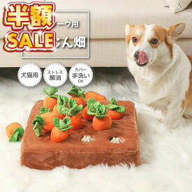 ノーズワーク にんじん 人参 ペット おもちゃ にんじん畑 犬 ノーズワーク 犬 おもちゃ 知育玩具 ペット プレゼント 犬用品 犬用おもち