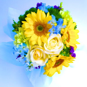 y N[  zG߂̂ t[AWg a v[g   G߂̉Ԃł܂AWg LO j t[ Mtg  ސE  