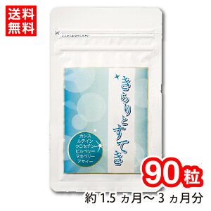 yzƂĂ 1 90 (1.5`3) Tvg AgVAj JVX rx[ ATC[ }Lx[ NHi NT|[g  y KNu