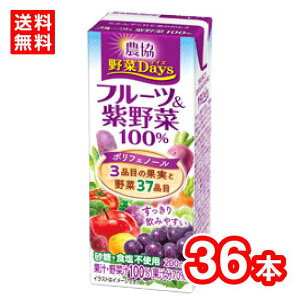 【送料無料】雪印メグミルク 農協野菜Days フルーツ&紫野菜100% LL200ml ケース販売 野菜ジュース 野菜飲料 常温保存可能 賞味期限長持ち 常備品 飲み切りサイズ 農協野菜デイズ 紫野菜
