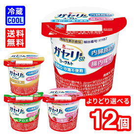 【送料無料】雪印 メグミルク　恵 megumi ガセリ菌 SP株 ヨーグルト 100g　12個 （選べる各種×3個）　脂肪0 砂糖不使用 プレーン加糖 アロエ いちご　食べきりサイズ ソフトヨーグルト 内臓脂肪を減らすのを助ける [冷蔵]