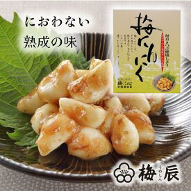 【送料無料】北海道梅辰　梅にんにく　320g　加工食品　熟成　まろやか　健康　にんにく　疲労回復　臭わない　スタミナ食　常備菜　おつまみ　人気商品