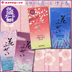 y[֑zy~ ފ zJ} Ԃӂ (/x_[/(h))y pzy~ ފ  r 䋟 䋟  QzyMtg 