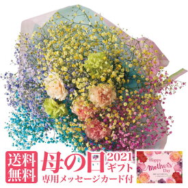 楽天市場 かすみ草 色の通販