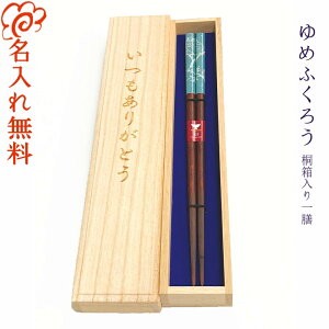 【送料無料】【抗菌箸】銀イオンの力で抗菌・清潔【ゆめふくろう】桐箱入り 一膳 青23cm・ピンク21cm/名入れ お祝い プレゼント 記念日 還暦 喜寿 米寿/女性に人気/すべり止め/母の日 父の日