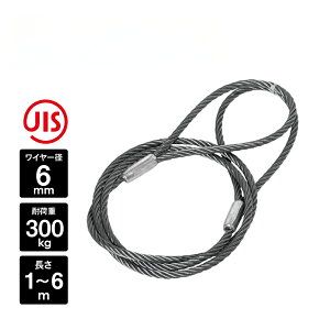 6mm OHH (I[Gb`H) A~bNʊ|C[  1m 2m 3m 4m 5m 6m [ԕi/s] | C[ A~ C[bN C[[v [v  y Ɩp Ɩpi Ɨpi H