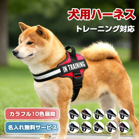 【名入れ可】犬 ハーネス 名前 胴輪 単品 名入れ イニシャル 簡単装着 引っ張り防止 抜けない 小型犬 中型犬 大型犬 かわいい 散歩 お出かけ アウトドア 迷子防止 通気性 ナイロン マジックテープ ハンドル付き