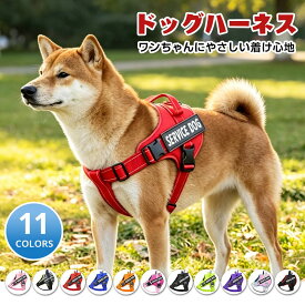 【名入れ可】犬 ハーネス 名前 胴輪 単品 名入れ イニシャル 簡単装着 引っ張り防止 抜けない 小型犬 中型犬 大型犬 かわいい 散歩 お出かけ アウトドア 迷子防止 通気性 ナイロン マジックテープ ハンドル付き