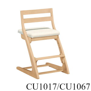 yN[|11%OFFz JN fXN`FA CU1017 CU1067 Y p\R wKƋ Ƌ̂낱 yXΉiz