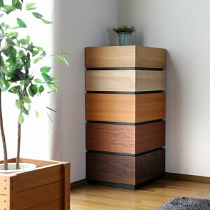 { Y ^X[ X`FXg J[ i` uE TCY 48×s43×103cm Y Y { f dV[g  ؐ k db rO[ R[i[