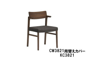 JN _CjO`FA CW3821pւJo[ KC3821  Ƌ̂낱 yXΉiz