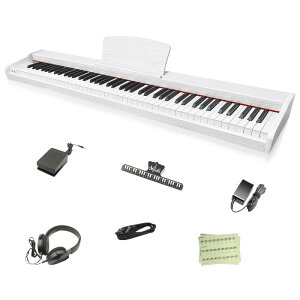 yؐdqsAm zLongeye dqsAm 88 MOLD2 {\L wbhzgp MIDI[qΉ 10mmXg[N 380މF ڒ DREAM S KɃsb^ MIDIΉ Cz {