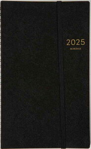  蒠 2025N A5ό^ EB[N[ O_CA[ X