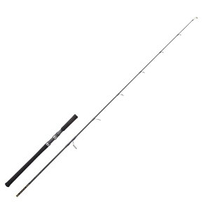 �V��(Tenryu) �X�p�C�N �{�j�[�g