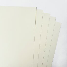 【書籍用紙 選べる厚さ3種類】紙 目に優しい紙 筆記性 文集用紙 本文用紙 テスト用紙 包装紙 掛け紙 間紙 合紙 敷紙 64g 81.4g 104.7g