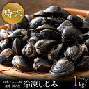 涸沼産 冷凍しじみ 特大 1kg（砂抜き済み）
