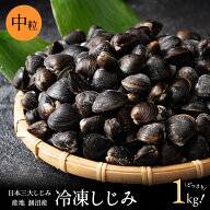 涸沼産 冷凍しじみ 中粒 1kg（砂抜き済み）