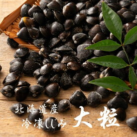網走湖産 冷凍しじみ 大粒 1kg【砂抜き済み】