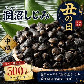 涸沼産 冷凍しじみ 中粒 1kg（砂抜き済み）