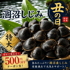 涸沼産 冷凍しじみ 特大 1kg（砂抜き済み）