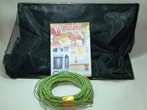 �����`�l�b�g