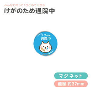 ̏ m点 ʃobW or }Olbg ( ׂfUC ) s hV̓ 2025  Gsy  GPS ʉ@ b ׋ hƃuU[ AM[ }^jeB Ԃ Dw wv}[N 
