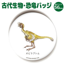 楽天市場 オビラプトルの通販 楽天市場 オビラプトルの通販