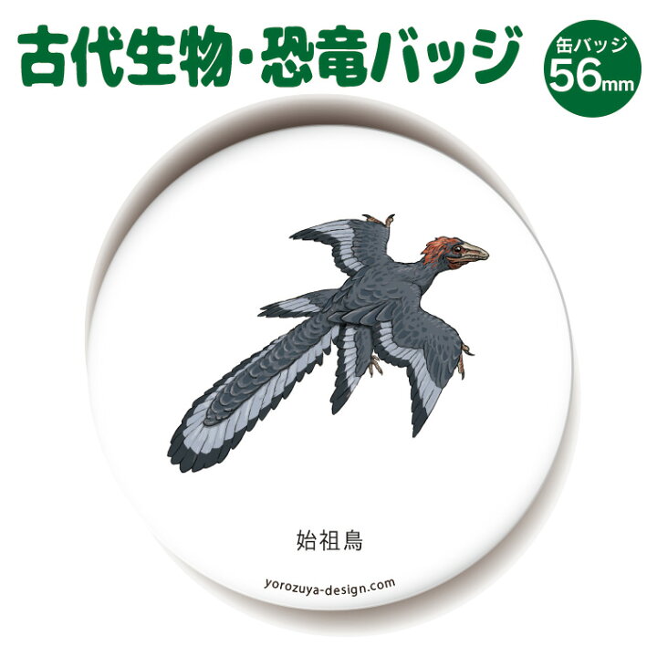 楽天市場 送料無料キャンペーン 納期が早い 恐竜 古代生物 缶バッジ Or キーホルダー Or マグネット 丸型56mm 始祖鳥 ジュラシック グッズ アクセサリー おもしろ 入園 入学 名札 プレゼント ギフト 記念品 敬老の日 土産 おもしろ名入れ よろずや