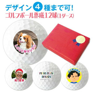 yԌGg[Ń|Cg10{IzO  ʐ^ IWi St{[ ( fUCΉ / 12 )s  ObY O  bZ[W St 킢 ܎O c 