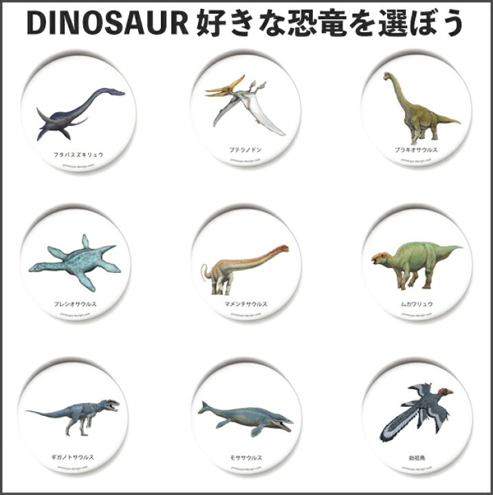 楽天市場 今だけ送料無料 納期が早い 恐竜 古代生物キーホルダー 丸型56mm ジュラシック オリジナル キーホルダー ノベルティアイテム グッズ 動物 生物 おもしろ 雑貨 アクセサリー 入園 入学 名札 プレゼント ギフト 記念品 敬老の日 土産 おもしろ
