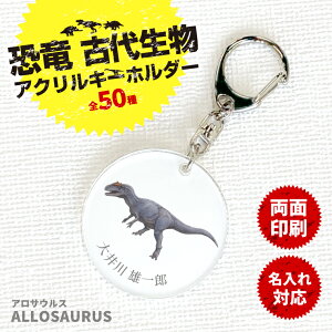 アロサウルス ベビー キッズの人気商品 通販 価格比較 価格 Com