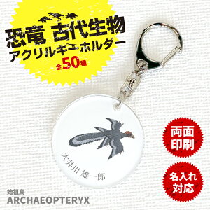 始祖鳥の人気商品 通販 価格比較 価格 Com 始祖鳥の人気商品 通販 価格比較 価格 Com