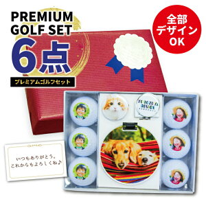 yԌGg[Ń|Cg10{IzO  ʐ^ IWi v~A St 6_Zbg ( fUCΉ / 6 )s  ObY bZ[WΉ 킢 ܎O c v