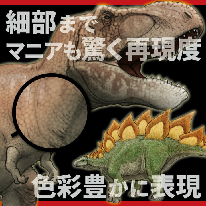 楽天市場 計00円で送料半額 納期が早い 恐竜 古代生物 ステッカー 1シート Dタイプ アソート ジュラシック シール かっこいい おしゃれ 便利 実用的 ダイナソー リアル 入園 入学 名札 プレゼント ギフト 記念品 ホワイトデー おもしろ名入れ 楽天市場 計00円で送料半額 納期が早い 恐竜 古代生物 ステッカー 1シート Dタイプ アソート ジュラシック シール かっこいい おしゃれ 便利 実用的 ダイナソー リアル 入園 入学 名札 プレゼント ギフト 記念品 ホワイトデー おもしろ名入れ