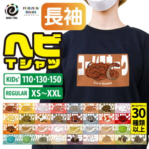 wrTVc s  ObY EFA  100 LbY Y fB[X j   q 킢 v[g ybg wr ঒ t