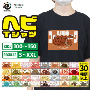 wrTVc s hV̓ 2025  ObY EFA  100 LbY Y fB[X j   q 킢  v[g Mtg LOi ybg wr ঒ t