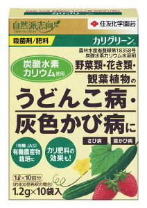 JO[1.2gX10ܓyZFw|z yK[fhN^[zy܁z