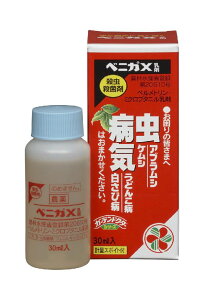 xjJX30mL yZFw|z yK[fhN^[zy܁z